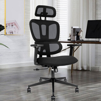 https://img.shopstyle-cdn.com/sim/1d/b3/1db3255bb2a6931b4fdda22afc06c6a3_xlarge/ladli-high-back-mesh-office-chair-ergonomic-desk-chair-with-adjustable-back-tilt-and-swivel-wheels.jpg