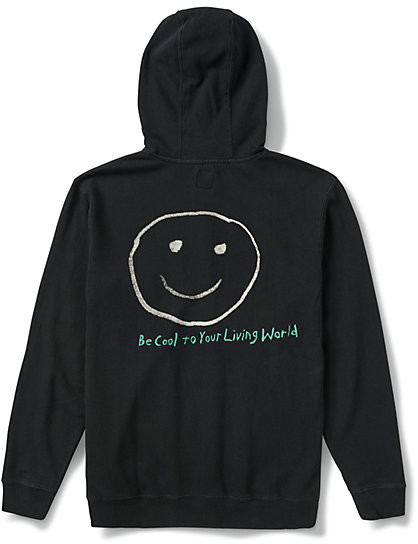 vans future standard pullover hoodie