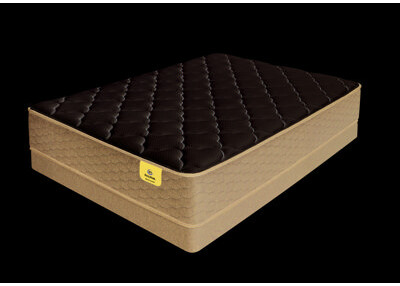 serta sleeptrue malloy