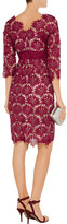 Thumbnail for your product : Mikael Aghal Floral Crochet-Mesh Dress