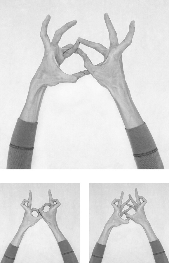 Nico Baixas / Gos-com-fuig, Untitled XXIII, XXIV, and XXV. Hands From the Series Chiromorphose., 2010