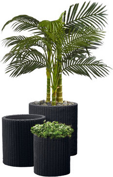 Keter Cylinder Planter 3PC Set Resin Wicker Flower Pots Small, Medium, and Large Planters with Drainage Plugs for Outdoor or Indoor (Choose Color)