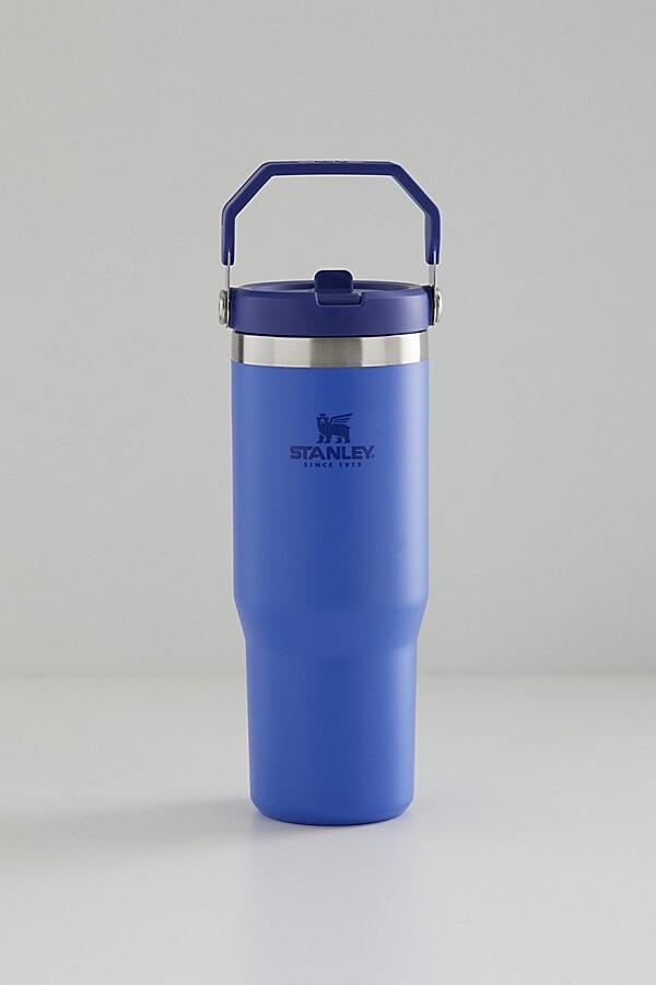 Hurry! Stanley Drinkware Starts at $15 at —but Pieces Are