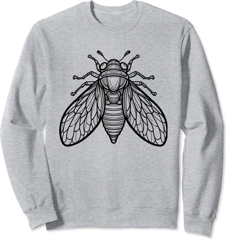 Cicada Great Eastern Brood 2024 Cicada Great Eastern Brood XIX XIII ...