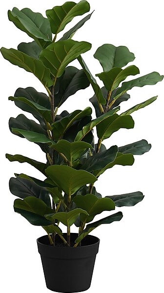 Monarch Specialties Inc. Fiddle-Leaf Fig in Pot (I 9511)
