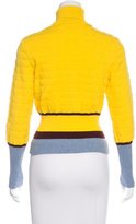 Thumbnail for your product : Mary Katrantzou 2015 Flosi Sweater