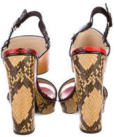 Thumbnail for your product : Dries Van Noten Python Sandals