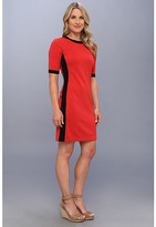 Thumbnail for your product : Karen Kane Textured Stripe Contrast Dress