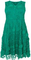 Thumbnail for your product : Studio 8 Isabella Dress, Green
