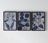 Thumbnail for your product : Pottery Barn Indigo Silver Leaf Framed Prints