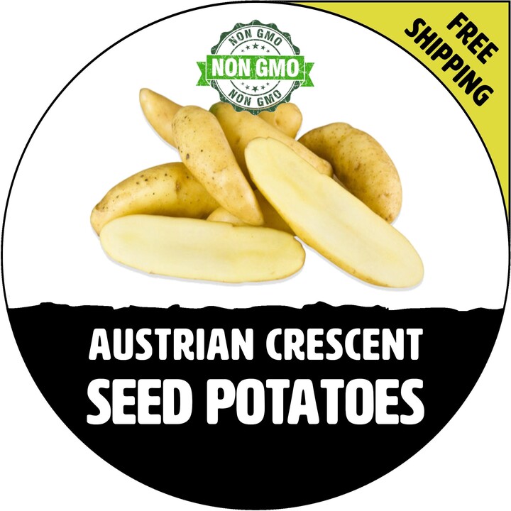 Etsy Austrian Crescent Fingerling Seed Potatoes - 2024 Spring, Certified Potato Non-Gmo Heirloom Plant Tuber Spud