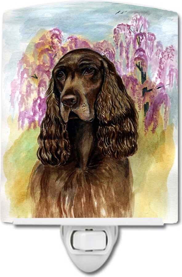 Caroline's Treasures 7033CNL Field Spaniel Ceramic Night Light, 6x4x3", multicolor