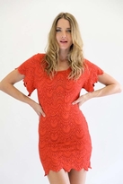 Thumbnail for your product : Nightcap Clothing Spanish Lace Flutter Dress in Saffron