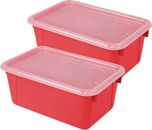 Storex Small Cubby Bin with Cover