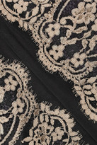 Thumbnail for your product : Anna Sui Lace and silk-chiffon top