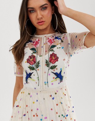 Frock and Frill floral and bird embroidered maxi dress in allover rainbow polka print
