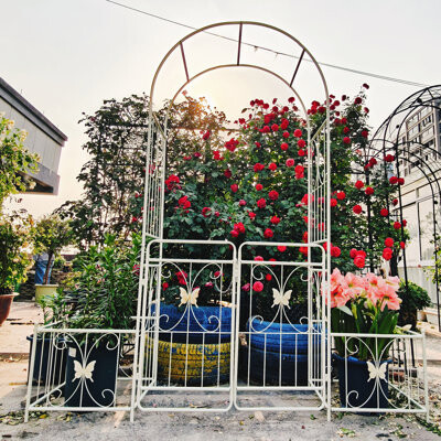 Lark Manor Romantic Metal Archway with Double Gates & Planter Stands