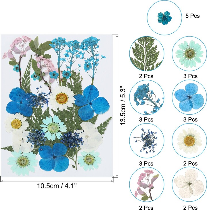 Unique Bargains Dried Pressed Flowers Natural Leave Real Pressed Flowers Hydrangea Style
