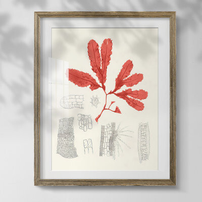 Highland Dunes Walking Through Waddesdon Gardens Framed Print