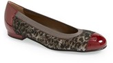 Thumbnail for your product : Anyi Lu 'Cate' Flat (Women)