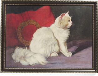 18x24 White Persian Cat Textured Canvas Print With Frame