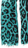 Thumbnail for your product : Dolce & Gabbana Leopard Print Fringe Scarf