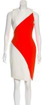 Thumbnail for your product : Elizabeth and James Colorblock Sleeveless Dress
