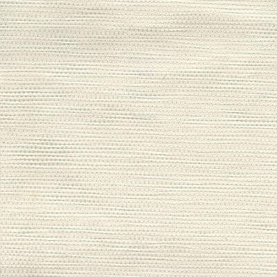 Highland Dunes Edelina Paper Weave 24' L x 36\