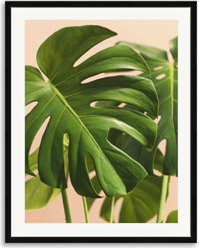 Made & Curated Verdure #2 by Alicia Bock - Photograph