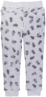 Petit Lem Knit Pants (Toddler & Little Boys)