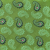 Thumbnail for your product : Thomas Pink Morris Paisley Woven Tie