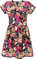 Thumbnail for your product : RED Valentino floral embroidered mini dress