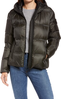 800 fill power down jacket