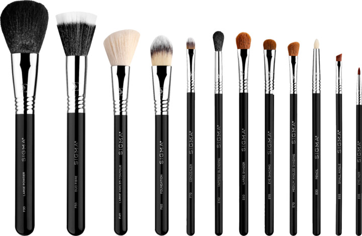 Sigma Beauty Essential Brush Set