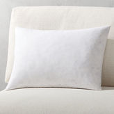 Thumbnail for your product : CB2 Feather-Down Rectangular Pillow Inserts