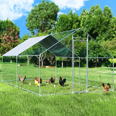 Bouchier Chicken Coop