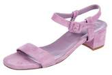 Thumbnail for your product : Maryam Nassir Zadeh Suede Ankle-Strap Sandals