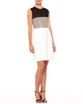 Thumbnail for your product : Narciso Rodriguez Colorblock Net-Top Dress