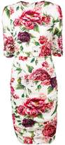 Thumbnail for your product : Dolce & Gabbana floral-print dress