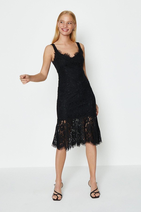 coast maria lace dress