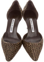 Thumbnail for your product : Manolo Blahnik Ponyhair d'Orsay Pumps