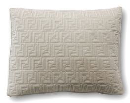 Fendi Embroidered Velvet Pillow