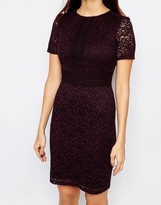 Thumbnail for your product : Warehouse Paneled Short Sleeve Lace Dress