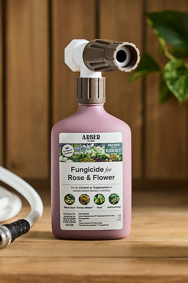 Arber Fungicide for Rose + Flower