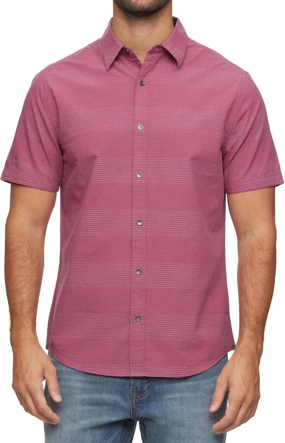 Flags & Anthem Monroe Short Sleeve Button Down Shirt In Mauve