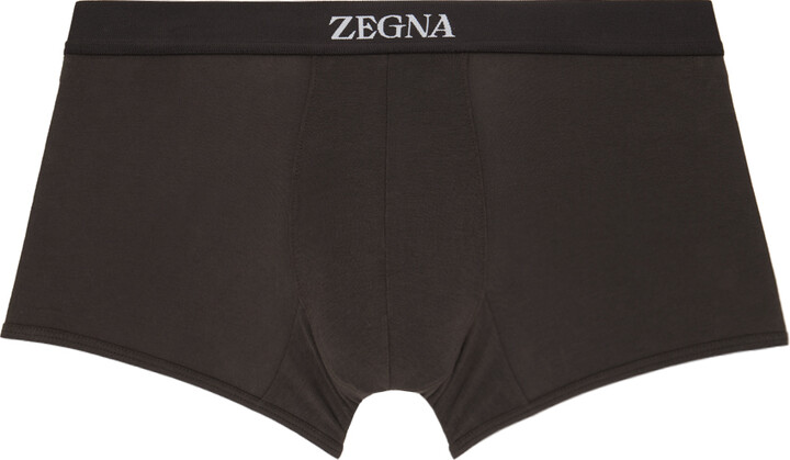 Ermenegildo Zegna Men's Micromodal Trunk Boxer Briefs - ShopStyle