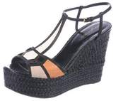 Thumbnail for your product : Sergio Rossi Snakeskin Espadrille Wedges