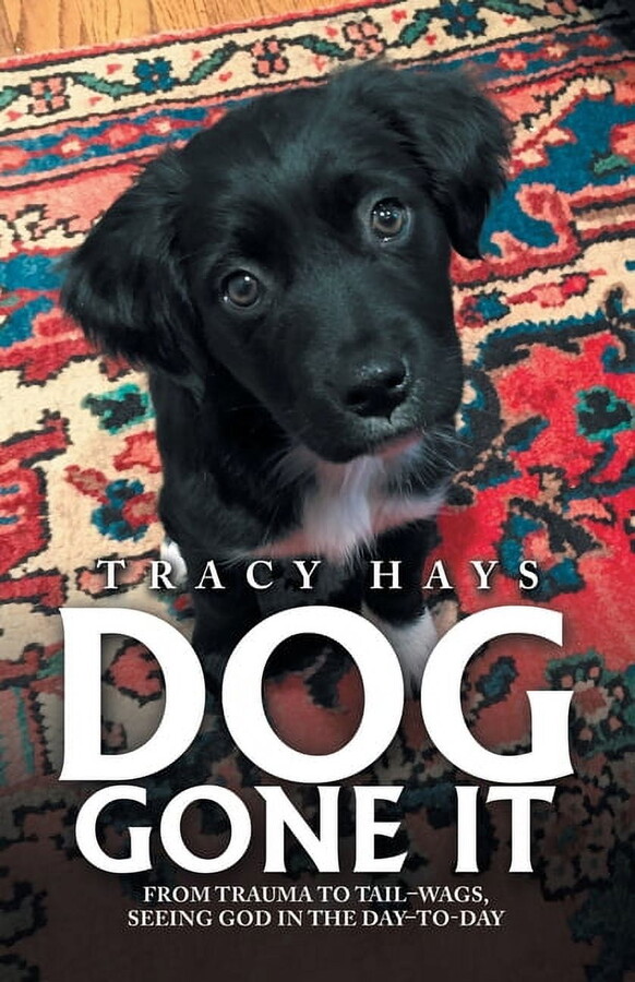Dog Gone It: From Trauma to Tail-Wags, Seeing God in the Day-To-Day (Paperback)
