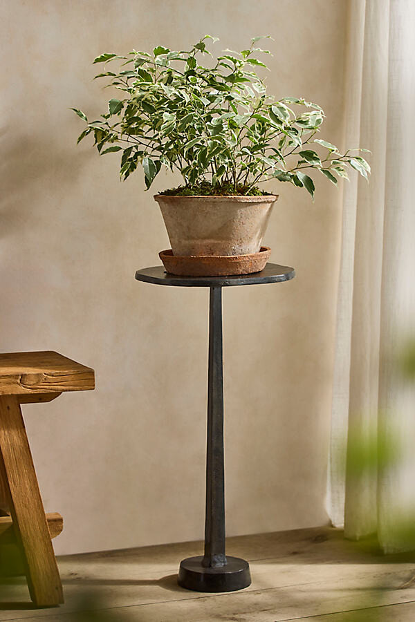 Black Pedestal Plant Stand at Terrain
