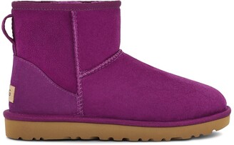 purple uggs